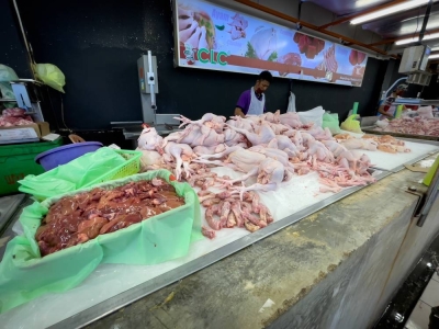 亚历山大说,贸消部今天与国内鸡肉供应链业者会面,以讨论制定新顶价。-Devan Manuel摄- 亚历山大说,贸消部今天与国内鸡肉供应链业者会面,以讨论制定新顶价。-Devan Manuel摄-