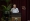 首相依斯迈沙比里周六为大马职工总会（MTUC）第42届代表大会致开幕词。-马新社-