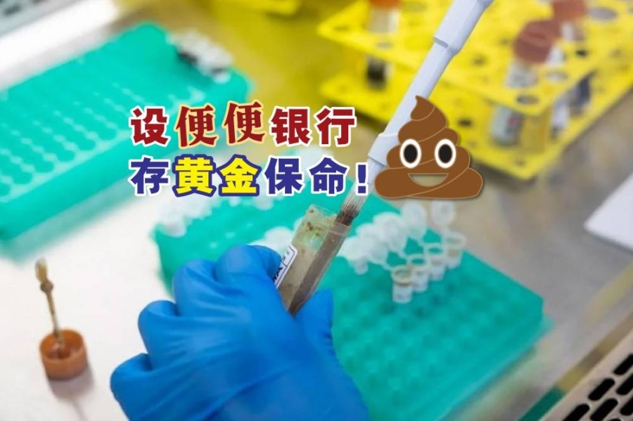 该粪便银行的费用约2万4515令吉,除了为期10年的粪便样本冷冻保存服务,他们还会提供粪便及血液筛检服务。-摘自网络,精彩大马制图- 该粪便银行的费用约2万4515令吉,除了为期10年的粪便样本冷冻保存服务,他们还会提供粪便及血液筛检服务。-摘自网络,精彩大马制图-