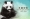 熊猫安安已被进行安乐死，享年35岁。-摘自香港海洋公园脸书-
