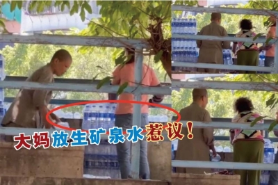 -摘自视频,精彩大马制图- -摘自视频,精彩大马制图-