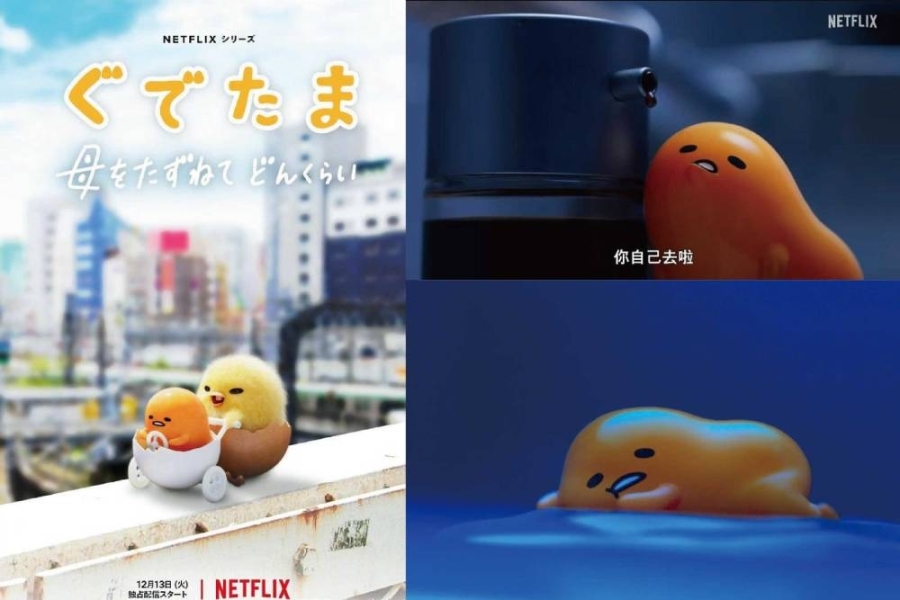 -摘自网络- -摘自网络-