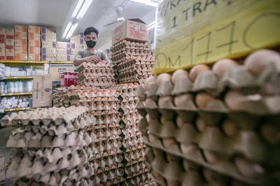 安华表示,政府会降低鸡蛋价格,同时确保供应充足。-Hari Anggara摄- 安华表示,政府会降低鸡蛋价格,同时确保供应充足。-Hari Anggara摄-