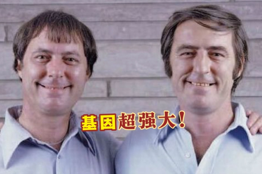 美国一对双胞胎出生后分别被两个不同家庭领养,时隔39年后相聚两人才发现彼此的共同处非常多,且前后任妻子的名字竟然都一样!-摘自网络,精彩大马制图- 美国一对双胞胎出生后分别被两个不同家庭领养,时隔39年后相聚两人才发现彼此的共同处非常多,且前后任妻子的名字竟然都一样!-摘自网络,精彩大马制图-