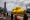 两只18公尺高的巨型橡皮鸭（小黄鸭）相隔10年再次访港，周五停驻维港海面，吸引大批市民前往拍照打卡。-路透社-