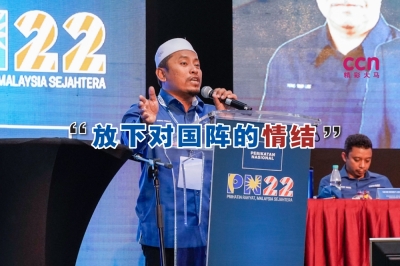 阿末法德里说,现在时代已改变,垦殖民可以放下对巫统和国阵的怀旧情结了。-Devan Manuel摄- 阿末法德里说,现在时代已改变,垦殖民可以放下对巫统和国阵的怀旧情结了。-Devan Manuel摄-