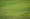 根据媒体报导，武吉加里尔国家体育场中央可见呈枯黄和泥色的草皮，甚至若远看草地像是已光秃。-马新社-