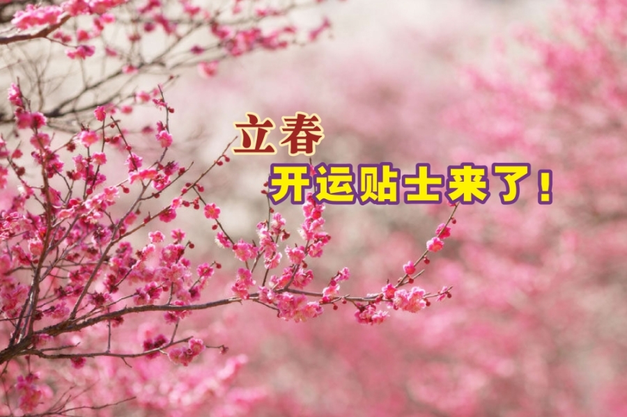 适逢新年前一个星期,民众可在立春大扫除,拿枕头和被单去晒太阳以吸收阳气,或进行其他开运“仪式”。-摘自网络,精彩大马制图- 适逢新年前一个星期,民众可在立春大扫除,拿枕头和被单去晒太阳以吸收阳气,或进行其他开运“仪式”。-摘自网络,精彩大马制图-