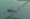 美国马里兰州巴尔的摩弗朗西斯斯科特基大桥，周二因遭挂新加坡旗的“达利”号货船撞上而倒塌。-路透社-