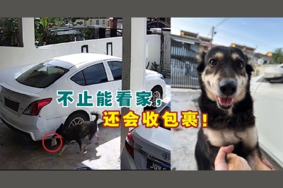 一名脸书用户分享了快递员传来的语音及一段闭路电视(CCTV)画面,引起不少网民分享及关注。-摘自脸书,精彩大马制图- 一名脸书用户分享了快递员传来的语音及一段闭路电视(CCTV)画面,引起不少网民分享及关注。-摘自脸书,精彩大马制图-