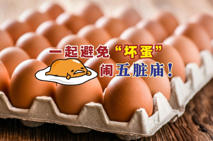 为提升大众食安意识,卫生部和大马公共卫生分享了选择和烹煮鸡蛋时需要注意的事项。-摘自网络,精彩大马制图- 为提升大众食安意识,卫生部和大马公共卫生分享了选择和烹煮鸡蛋时需要注意的事项。-摘自网络,精彩大马制图-