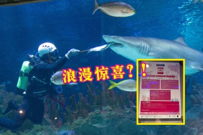 吉隆坡城中城水族馆推出求婚配套。-图摘自Aquaria KLCC/@melatinungsari- 吉隆坡城中城水族馆推出求婚配套。-图摘自Aquaria KLCC/@melatinungsari-