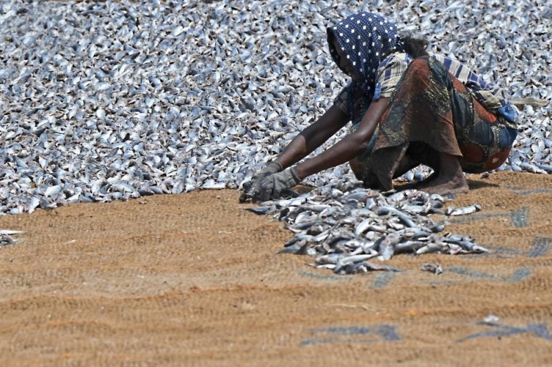 Una pescadora en Sri Lanka, uno de los países que enfrenta protestaban por la crisis económica que sufre la isla. /AFP