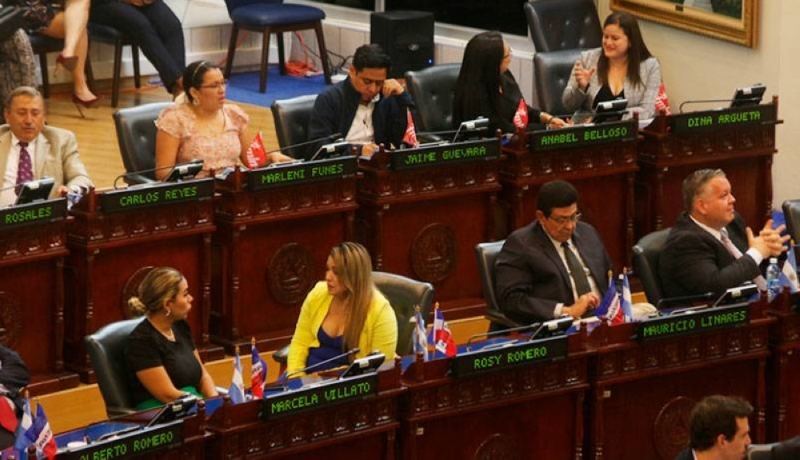 Alina MPs and FMLN MPs usually vote against the Nuevas Idea.
