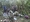 Miembros del ejército atienden a cuatro niños indígenas que fueron encontrados con vida después de pasar más de un mes perdidos en la selva amazónica colombiana tras el accidente de una avioneta.