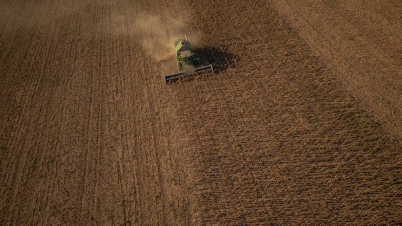 Aerial photo/AFP of a field near Krivoi in south-central Ukraine.