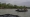 Militares de Texas en el río Bravo. Cortesía.