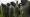 Siete miembros de la guerrilla de las Fuerzas Armadas Revolucionarias de Colombia (FARC) se rinden al ejército colombiano el 23 de junio de 2008, en Cali, departamento del Valle del Cauca, Colombia. / AFP.