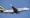 La compagnie Ethiopian Airlines a perdu un avion qui s'est écrasé en plain vol 