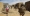 des-soldat-de-l-operation-barkhane-dans-le-village-malien-de-in-tillit-le-1er-novembre-2017-au-moment-du-lancement-de-la-force-du-g5-sahel_6018514