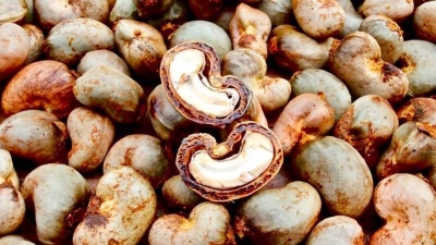 Noix de cajou. (Ph: Dr)