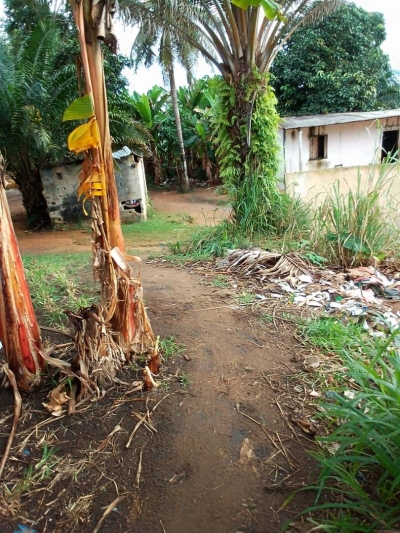 L'école Songon Kassemblé