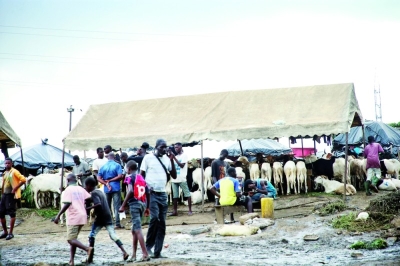 Les acteurs de la filière mettent tout en œuvre, pour satisfaire au mieux les friands de viande fraîche. (Ph: Sébastien Kouassi)