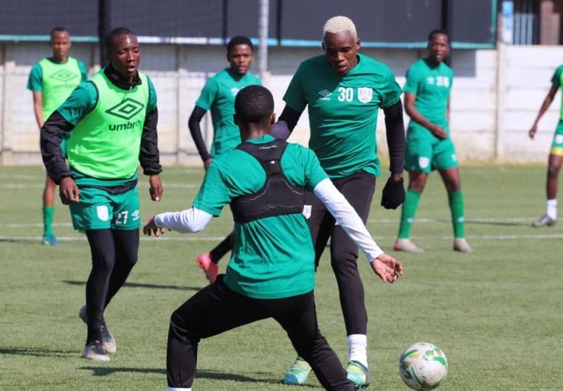 Zebras training