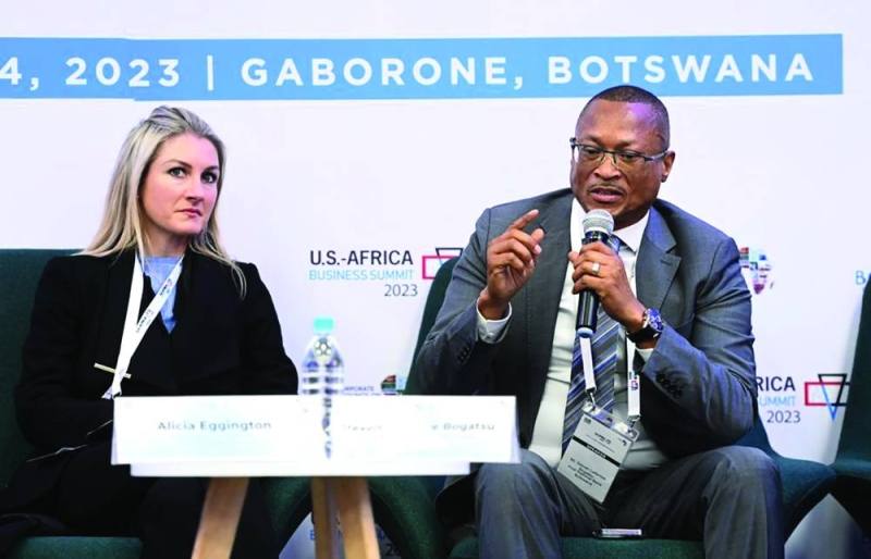 ALICIA EGGINGTON &STEVEN BOGATSU US-AFRICA