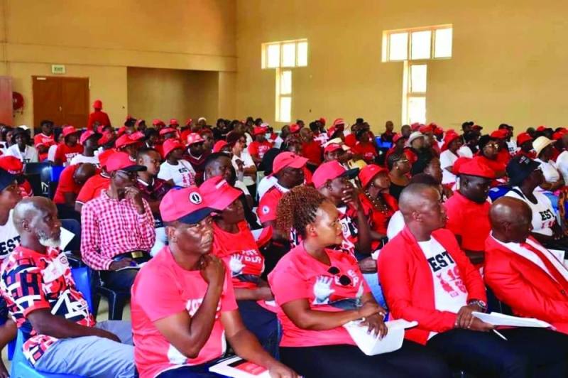 BDP members at the Gaborone Reginal Consultative Meeting