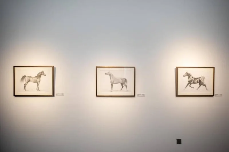 The ‘The Divine Horses’ exhibition at Katara building 47 – Gallery 1 showcases 20 paintings and graphics.