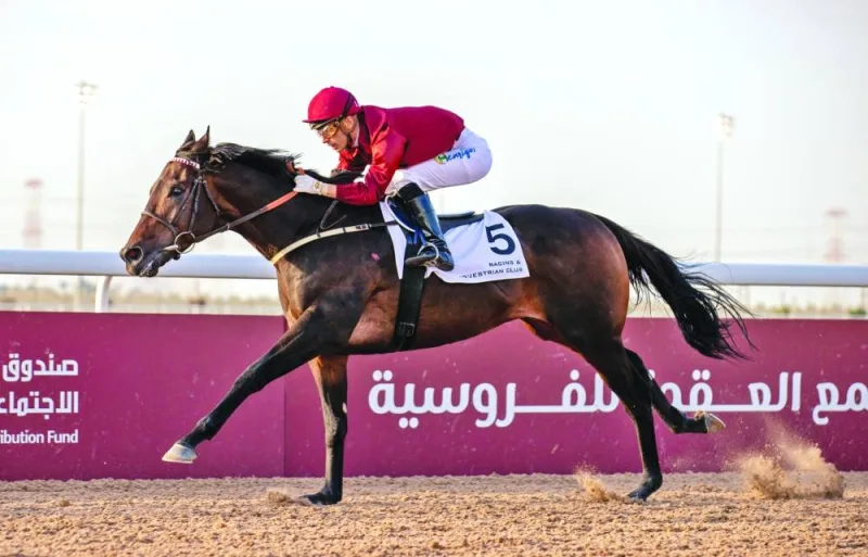 Carlos Henrique guides Inherent to Lisha Cup victory at Al Uqda Equestrian Complex yesterday.