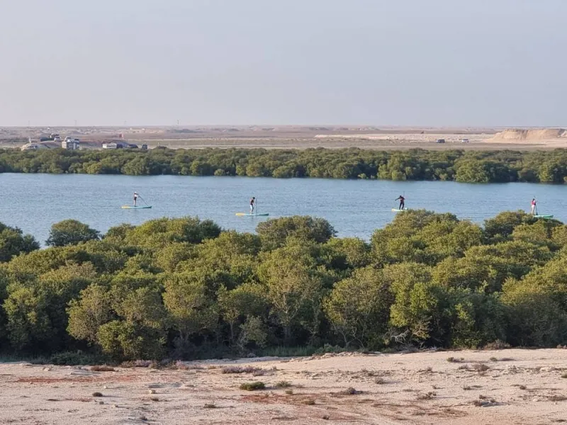 Kayakers seen from Purple Island in Al Khor. PICTURE: Joey Aguilar
