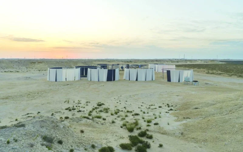 The "Olafur Eliasson: The Curious Desert" exhibition is presented in two locations: the desert near Al Thakhira Mangrove in northern Qatar and at NMOQ.