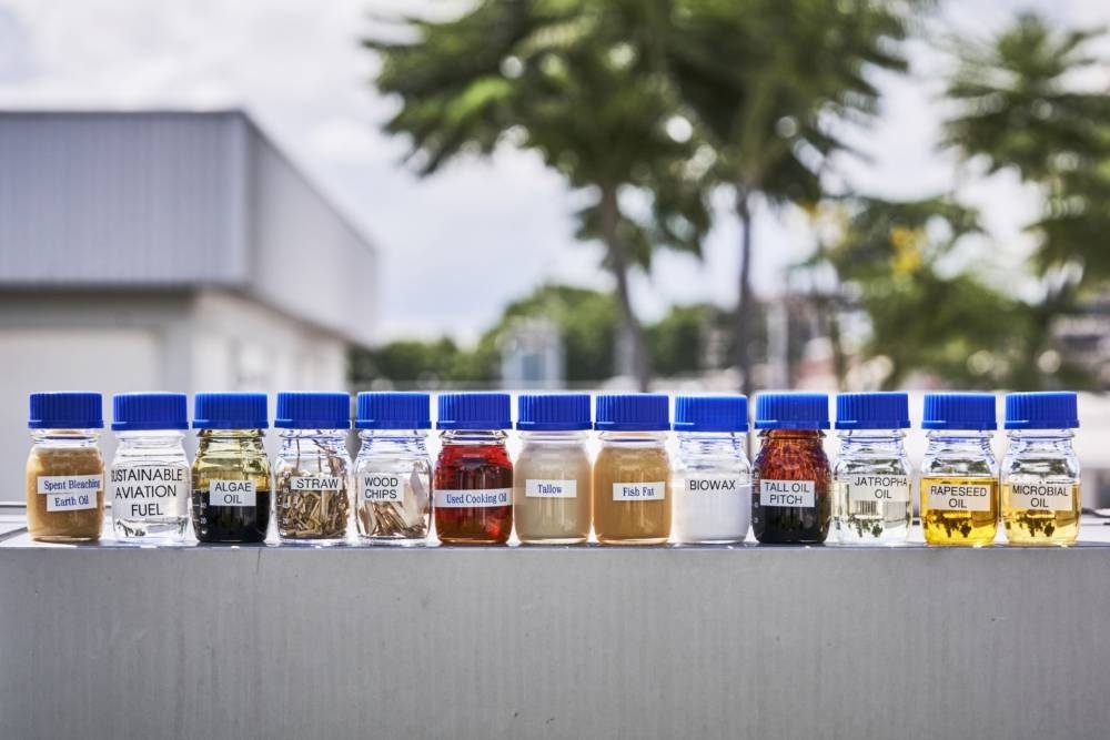 The most commonly used raw materials for creating sustainable aviation fuel (SAF) are on display at Neste&#039;s refinery in Singapore (file).