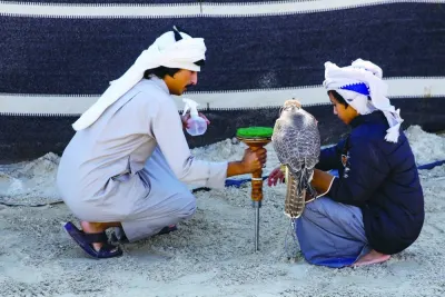 The activities of Mazhab Young Falconer aims to encourage young people to invest in leisure time through directing them towards respecting the authentic Arab traditions.