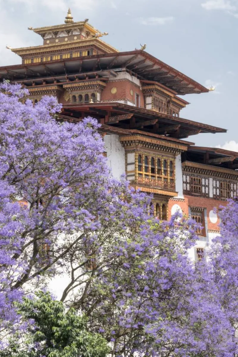 Amankora, Bhutan - Experience, Excursion, Punakha Dzong during spring