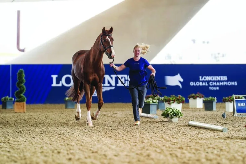 Horses taking part in the Global Champions Tour trained on Wednesday ahead of the opening leg at Al Shaqab.