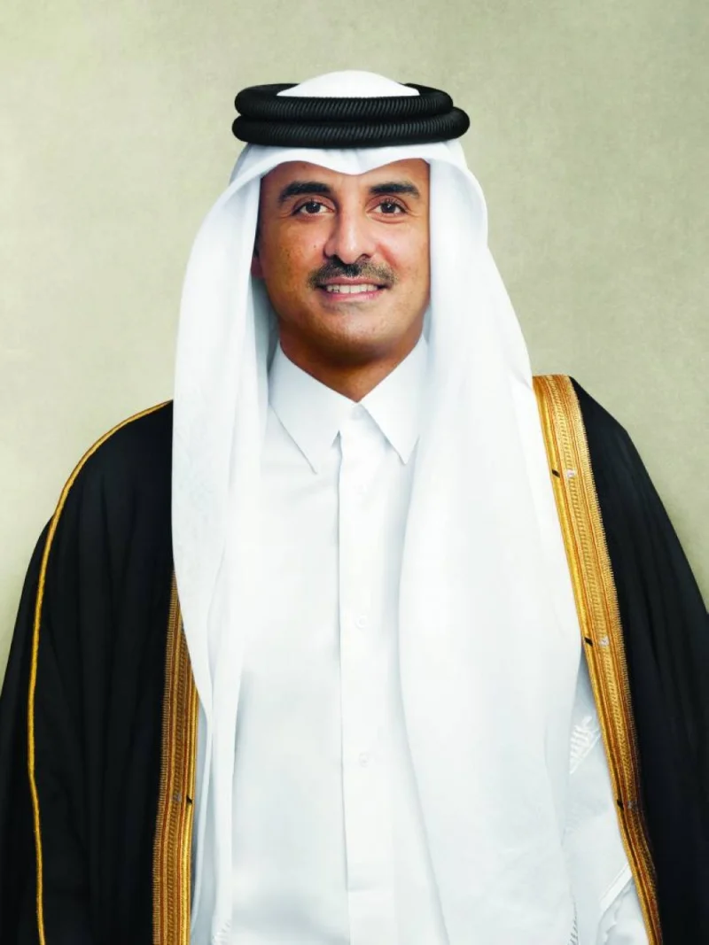 His Highness the Amir Sheikh Tamim bin Hamad al-Thani