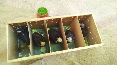 أوقات الخليج