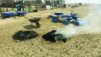 أوقات الخليج