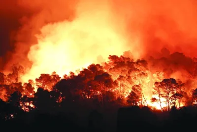 تحترق الأشجار خلال حريق في الغابات القريبة من القديس لوران دي للا كابريس ، جنوب فرنسا. - رويترز تحترق الأشجار خلال حريق في الغابات القريبة من القديس لوران دي للا كابريس ، جنوب فرنسا. - رويترز