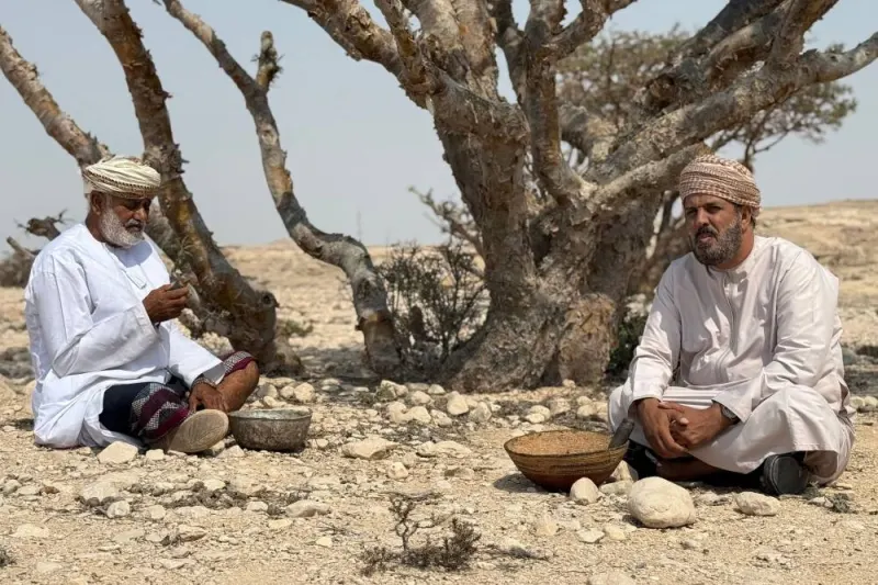 In oil-rich Oman, efforts to preserve frankincense 'white gold' - Gulf Times