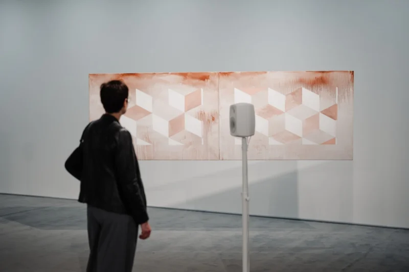 SAF and Mudam Luxembourg host Nets for Night and Day exhibition