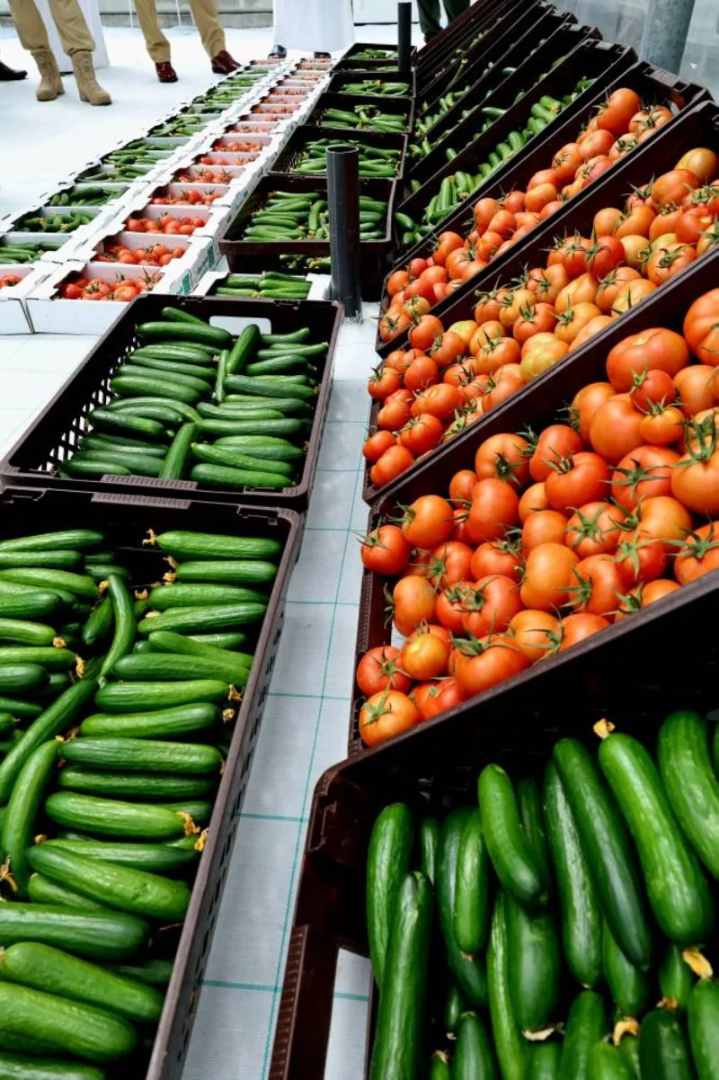 UAE minister lauds Dubai Police’s agricultural project training 200 inmates annually 2 UAE minister lauds Dubai Police’s agricultural project training 200 inmates annually