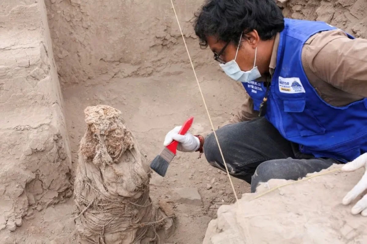 An archaeologist works on one of five mummies were found, in Lima, Peru. 