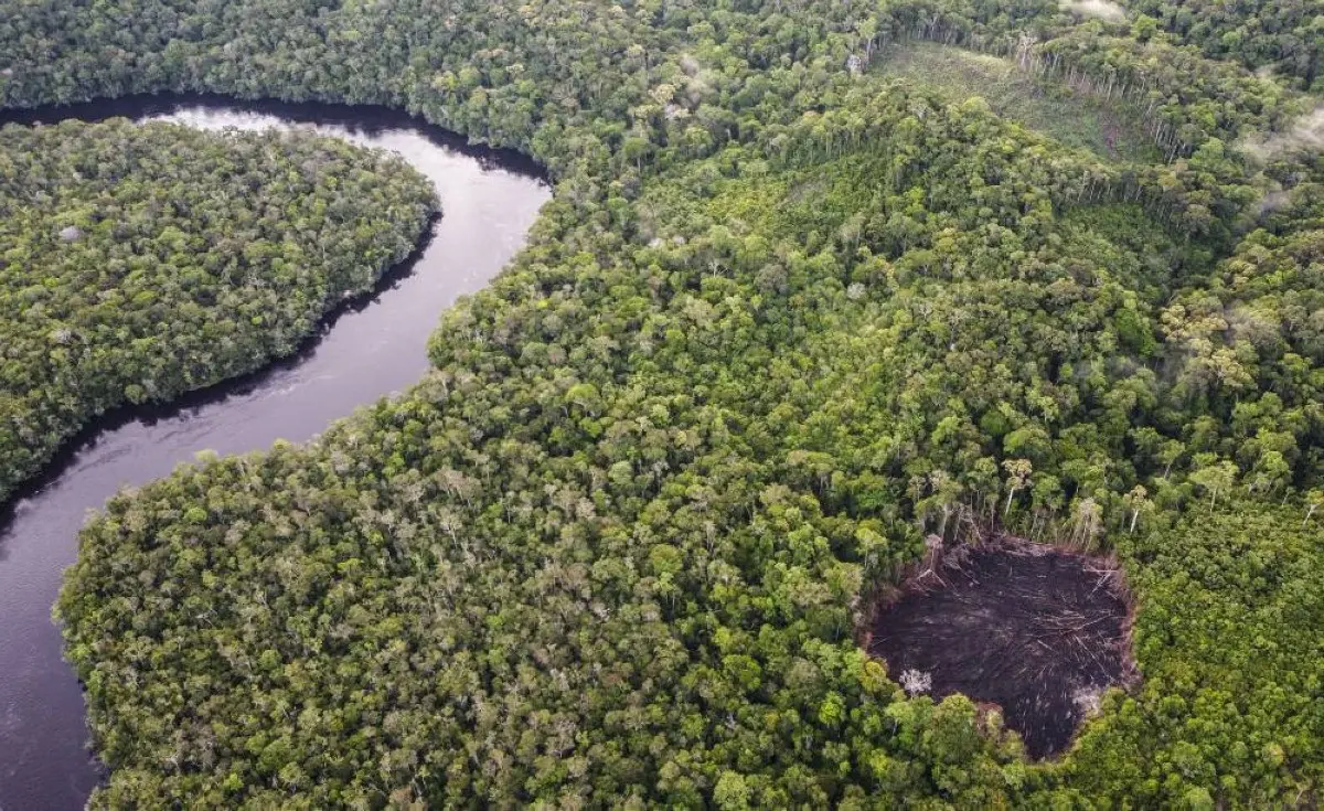 Aerial view showing deforested areas to plant food and coca taken near the Pira Parana River, Vaupes province, Colombia, on November 10, 2023. - While chewing coca leaves, Colombian Indigenous Fabio Valencia consults the jungle and his ancestors about a lawsuit against a company's green imposture. He denounces million-dollar transactions in exchange for supposed environmental services without the authorization of the community. Very far from the COP28 in Dubai, where carbon credits are discussed as a solution to the climate crisis, Valencia complains: the sales of these "green" bonds to polluting companies that aspire to offset the use of fossil fuels "are worse" for indigenous traditions than mining and oil exploitation. (Photo by Juan Pablo Pino / AFP)