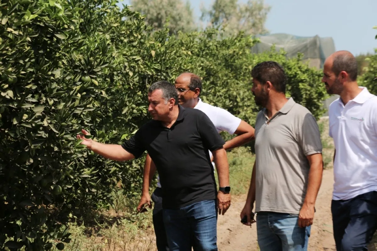 NABEUL, Tunisia: Yassine Gargouri (left), a farmer who hired the RoboCare startup company, to fly drones over his agricultural domain to scan the trees from the air and assess their hydration levels checks his citrus trees in Nabeul, southwest of Tunis. – AFP