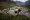 This photograph shows sheep in Pontimia Pasture in the Swiss Alps during a monitoring program by Swiss NGO 