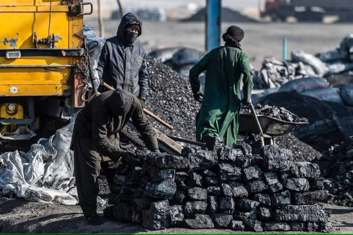 Global consumption of coal reached an all-time high in 2023.